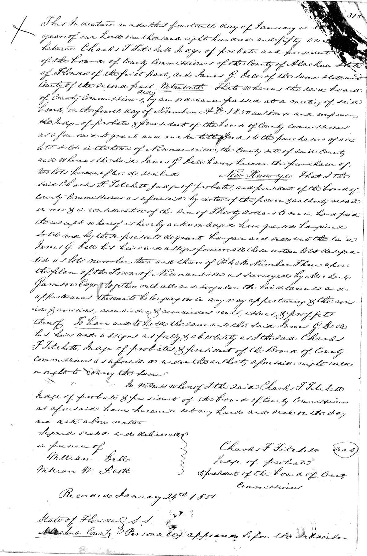 Click Here for Larger Image