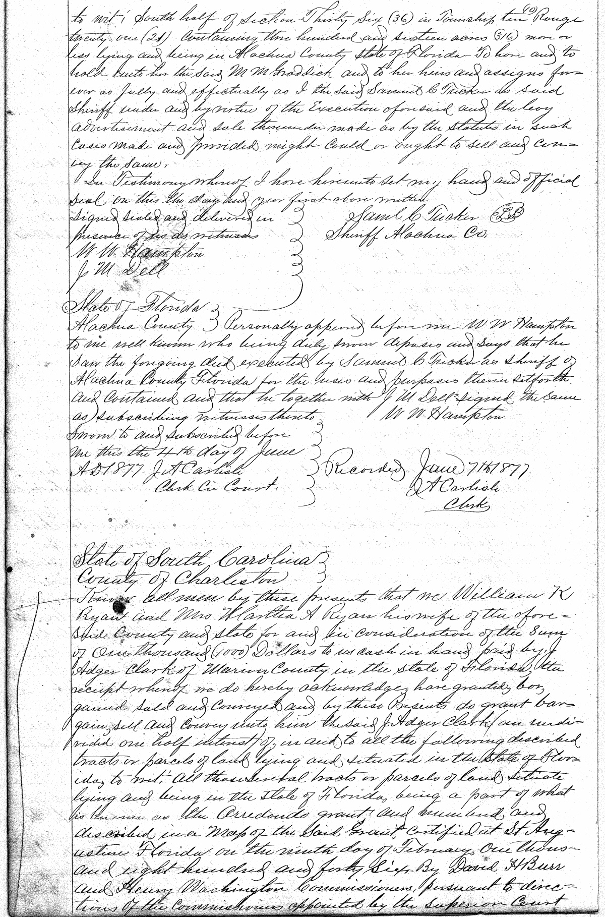 Click Here for Larger Image