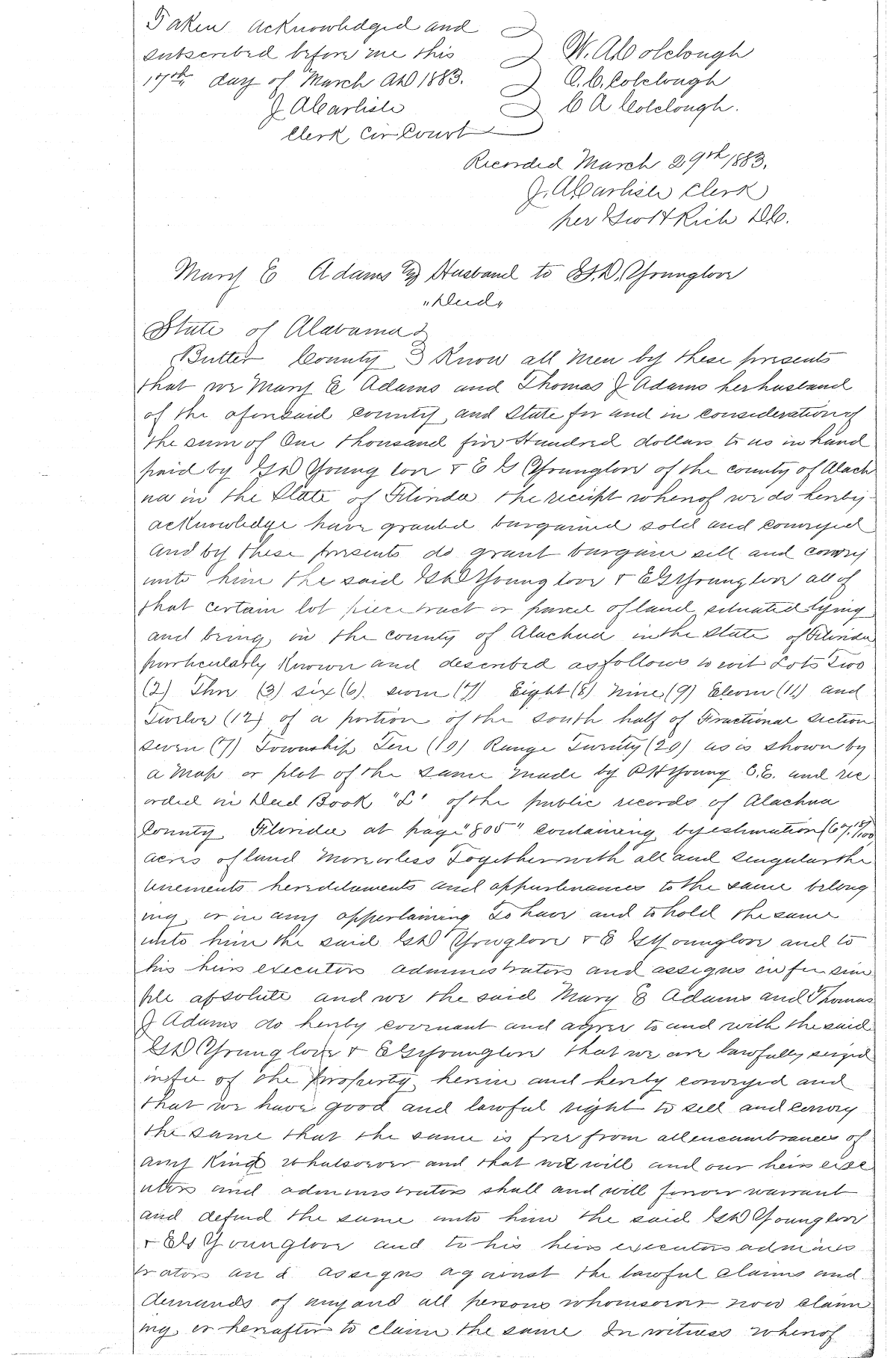 Click Here for Larger Image