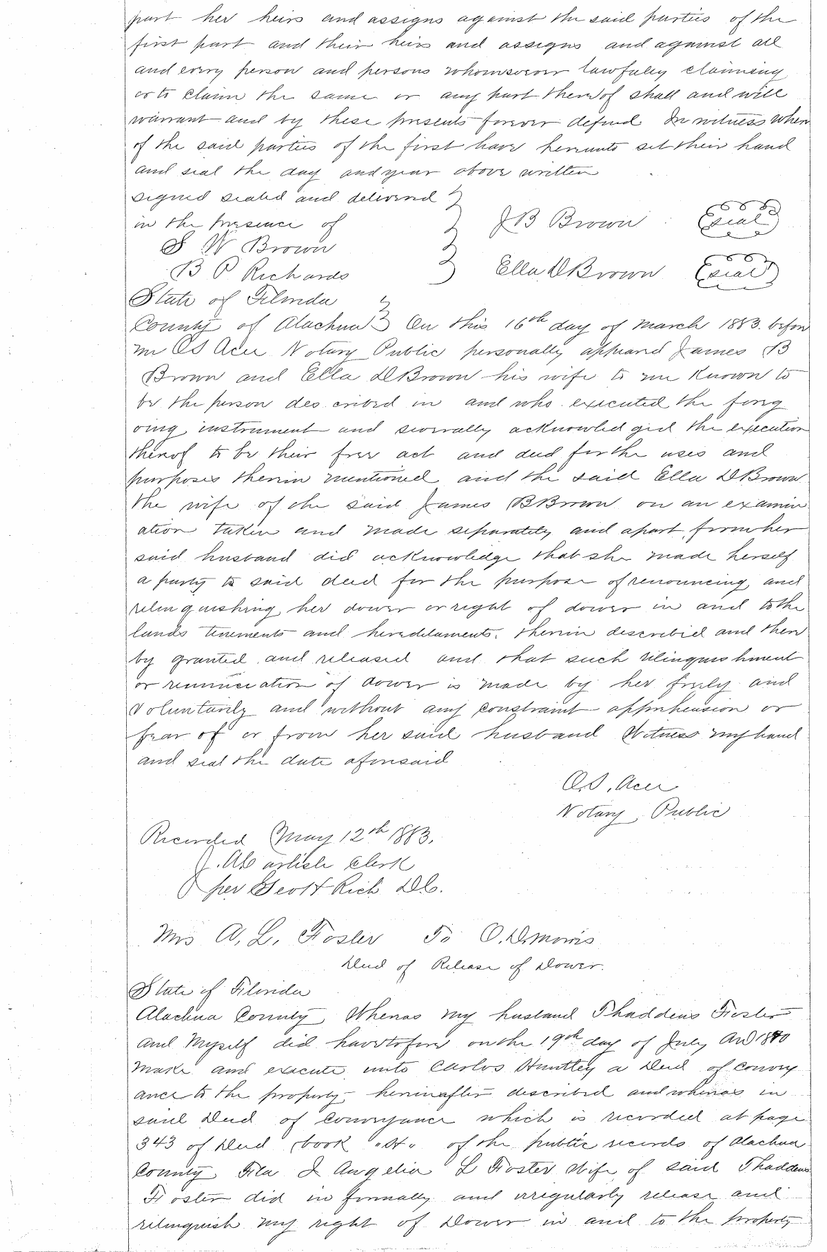 Click Here for Larger Image